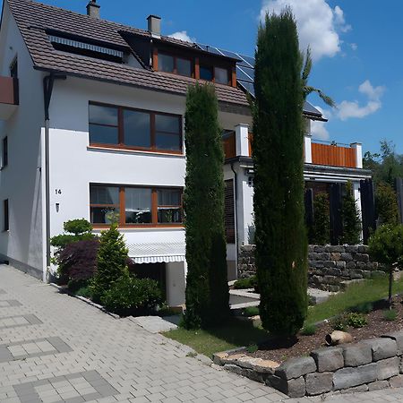דירות זיפלינגן Haus Saentisblick מראה חיצוני תמונה