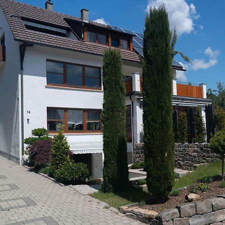 דירות זיפלינגן Haus Saentisblick מראה חיצוני תמונה